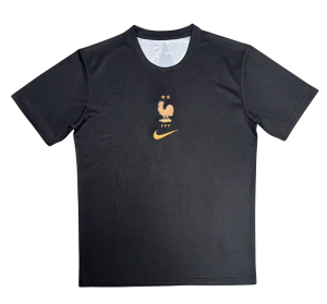 Maglia Francia Portiere - 2026