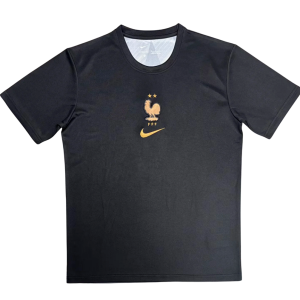 Maglia Francia Portiere - 2026